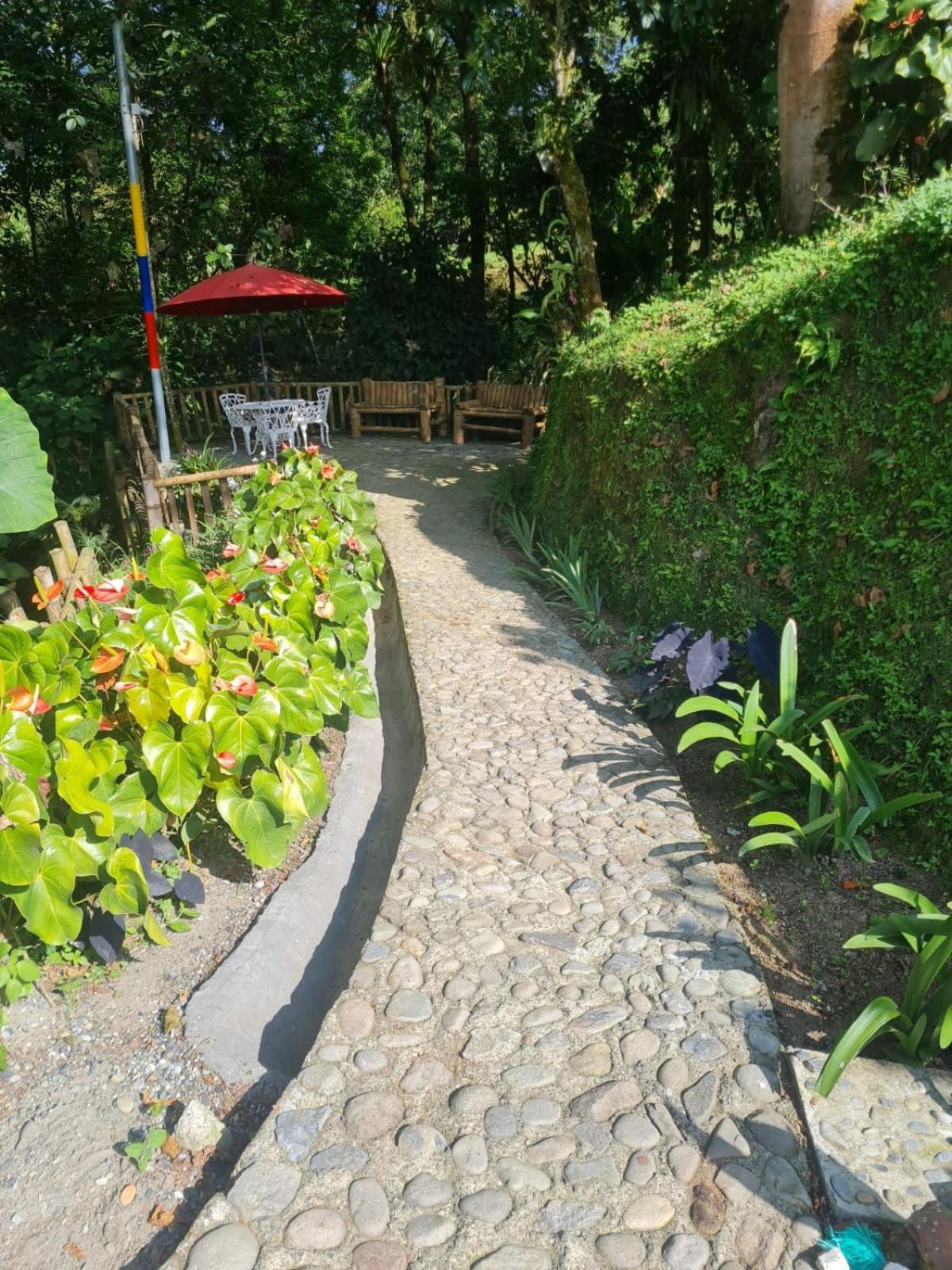 Cabanas Filadelfia Santa Rosa de Cabal Buitenkant foto